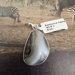 🆕️Stunning Botswana Agate Pendant